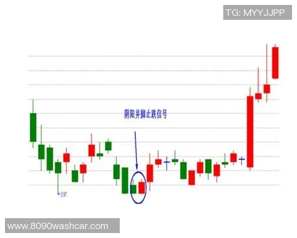 深入分析杭州乒乓球队控制打法的战术特点与实战应用