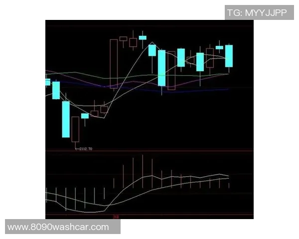 西安排球队防守策略深度解析与战术应用探讨
